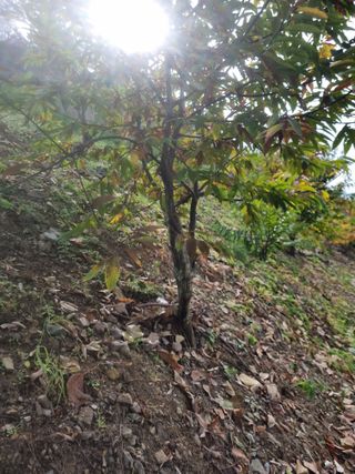 김용대님의 자유주제 · 자유게시판 작성글 사진