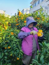 팜모닝 · 게시글 이미지