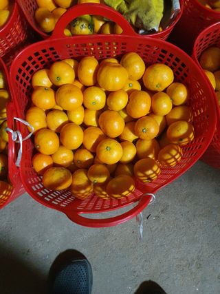 조상길님의 작성글 사진