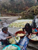 팜모닝 우리집 김장 자랑하기·참여글 게시글 이미지