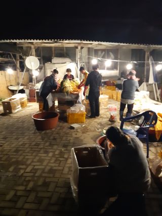 꿀6990님의 우리집 김장 자랑하기 · 참여글 작성글 사진