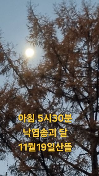 산뜰표고 이성재님의 작성글 사진