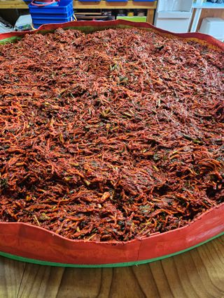 Bmww2226님의 우리집 김장 자랑하기 · 참여글 작성글 사진