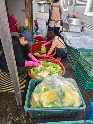 Bmww2226님의 우리집 김장 자랑하기 · 참여글 작성글 사진