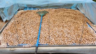 pyun2620님의 기타작물 · 영농일지 작성글 사진