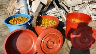 pyun2620님의 기타작물 · 영농일지 작성글 사진