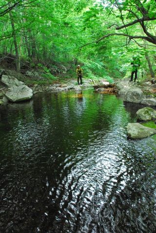 정선 숲속의농부님의 자유주제 · 자유게시판 작성글 사진