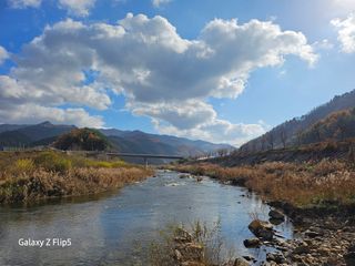 정선 숲속의농부님의 자유주제 · 자유게시판 작성글 사진