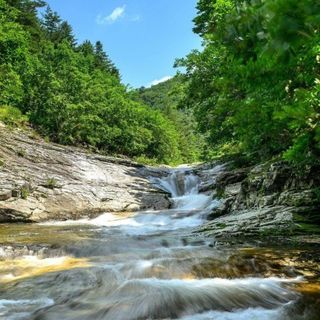 정선 숲속의농부님의 자유주제 · 자유게시판 작성글 사진