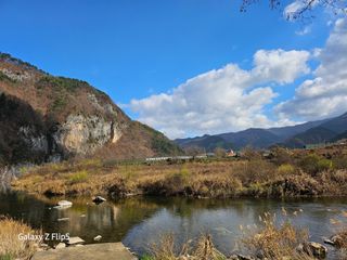 정선 숲속의농부님의 자유주제 · 자유게시판 작성글 사진