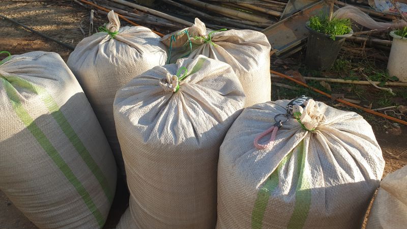 농부아내님의 장터 판매 상품 [4번 세척한 국산 햇들깨 5kg] 첨부 사진