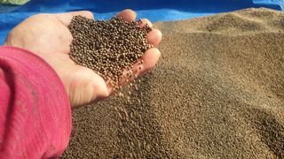 농부아내님의 작성글 사진