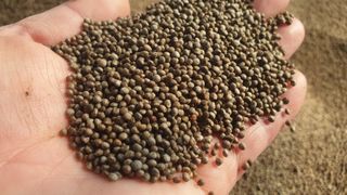 농부아내님의 작성글 사진