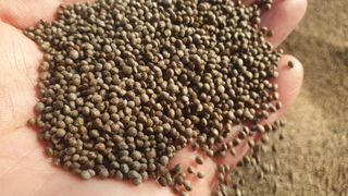 농부아내님의 작성글 사진