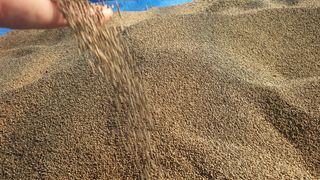 농부아내님의 작성글 사진