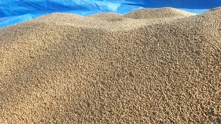 농부아내님의 작성글 사진