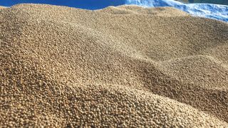 농부아내님의 작성글 사진