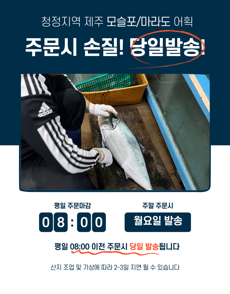 제철365님의 장터 판매 상품 [산지직송 제주 자연산 대방어 특대방어 ] 첨부 사진