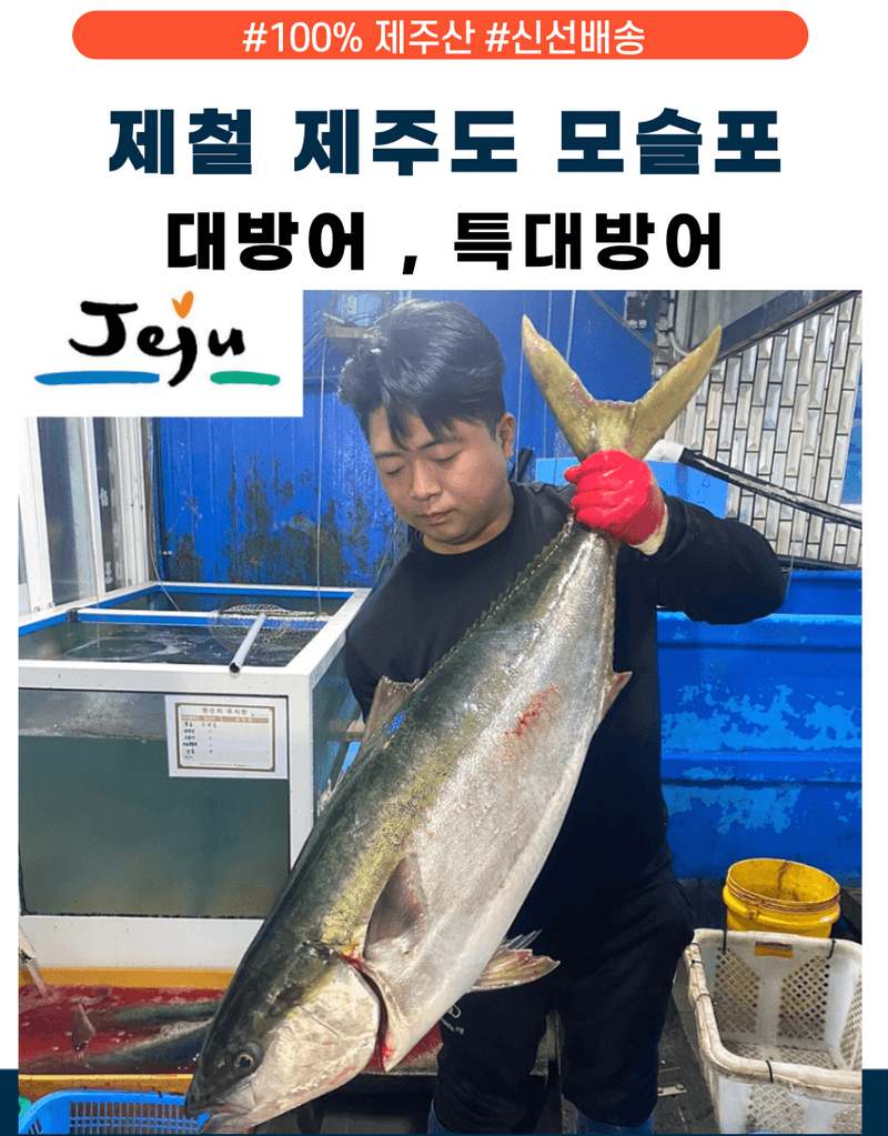 제철365님의 장터 판매 상품 [산지직송 제주 자연산 대방어 특대방어 ] 첨부 사진