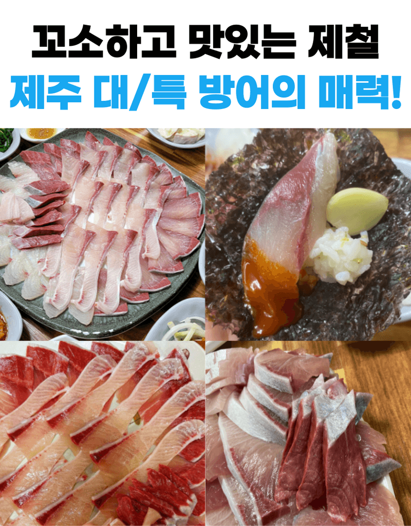 제철365님의 장터 판매 상품 [산지직송 제주 자연산 대방어 특대방어 ] 첨부 사진