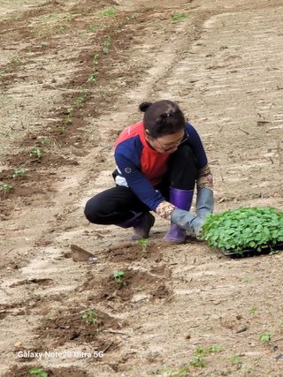 김용민님의 작성글 사진