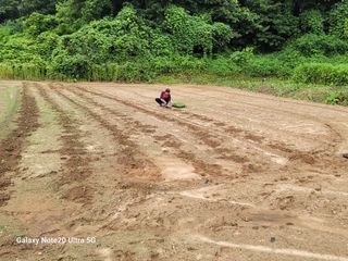 김용민님의 작성글 사진