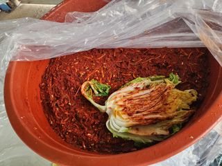 김영옥님의 자유주제 · 자유게시판 작성글 사진