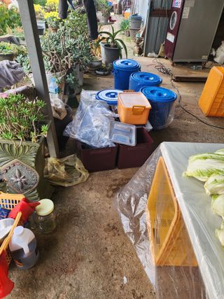 김영옥님의 자유주제 · 자유게시판 작성글 사진