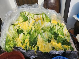 김영옥님의 자유주제 · 자유게시판 작성글 사진