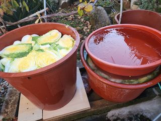 김영옥님의 자유주제 · 자유게시판 작성글 사진