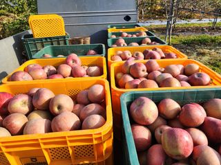 김영옥님의 자유주제 · 자유게시판 작성글 사진