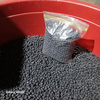 미소님의 자유주제 · 자유게시판 작성글 사진