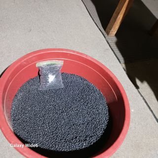 미소님의 자유주제 · 자유게시판 작성글 사진