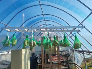 유일기님의 자유주제 · 자유게시판 작성글 사진