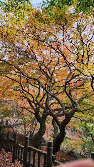 유일기님의 자유주제 · 자유게시판 작성글 사진