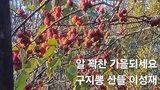 팜모닝 · 게시글 이미지