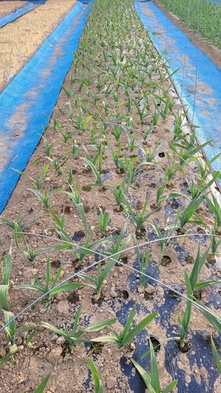 지피지기님의 자유주제 · 자유게시판 작성글 사진