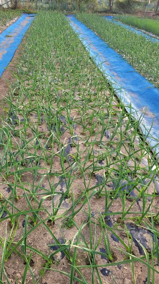 지피지기님의 자유주제 · 자유게시판 작성글 사진