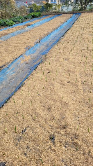 지피지기님의 자유주제 · 자유게시판 작성글 사진