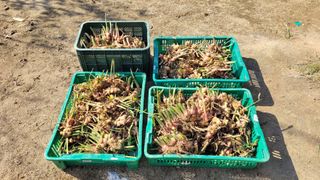 지피지기님의 자유주제 · 자유게시판 작성글 사진