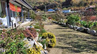 지피지기님의 자유주제 · 자유게시판 작성글 사진