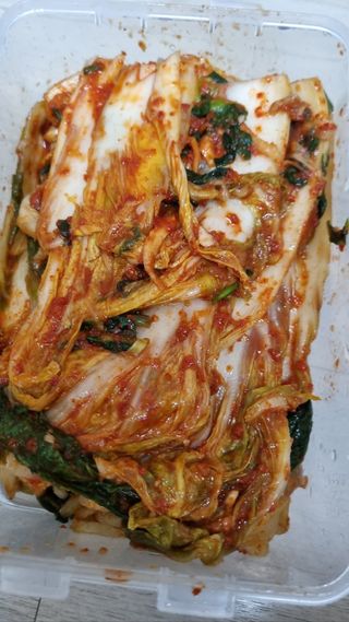 마늘양파참님의 우리집 김장 자랑하기 · 참여글 작성글 사진