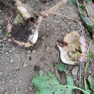 호박10186님의 자유주제 · 자유게시판 작성글 사진