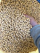 팜모닝 · 게시글 이미지