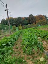 팜모닝 자유주제·자유게시판 게시글 이미지