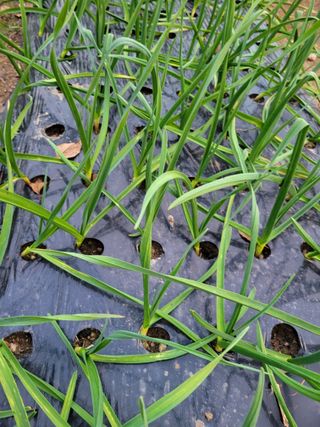 정소망님의 자유주제 · 자유게시판 작성글 사진