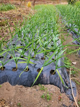 정소망님의 자유주제 · 자유게시판 작성글 사진