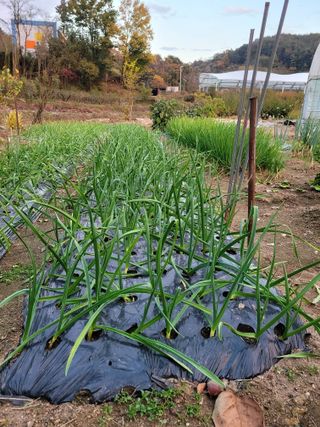 정소망님의 자유주제 · 자유게시판 작성글 사진