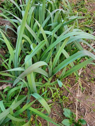 정소망님의 자유주제 · 자유게시판 작성글 사진