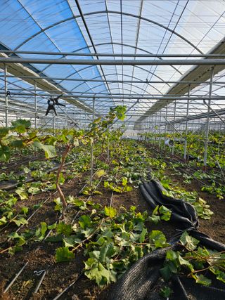 양애숙님의 자유주제 · 자유게시판 작성글 사진